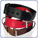 Pit bull collars